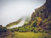 nahorni_plosina_Paul_da_Serra_madeira_spurek (3).jpg
